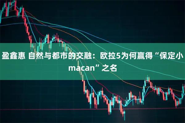 盈鑫惠 自然与都市的交融：欧拉5为何赢得“保定小macan”之名